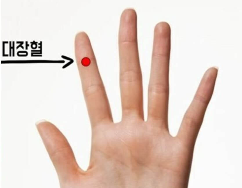대장혈