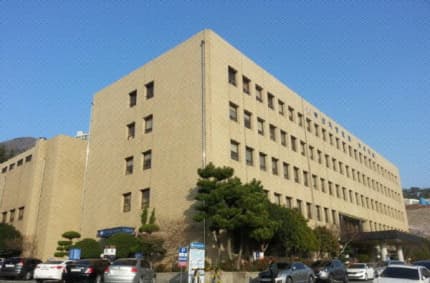친구 얼굴에 돌 던진 초등생 2200만원 배상: 부산지법 판결 법적 분석