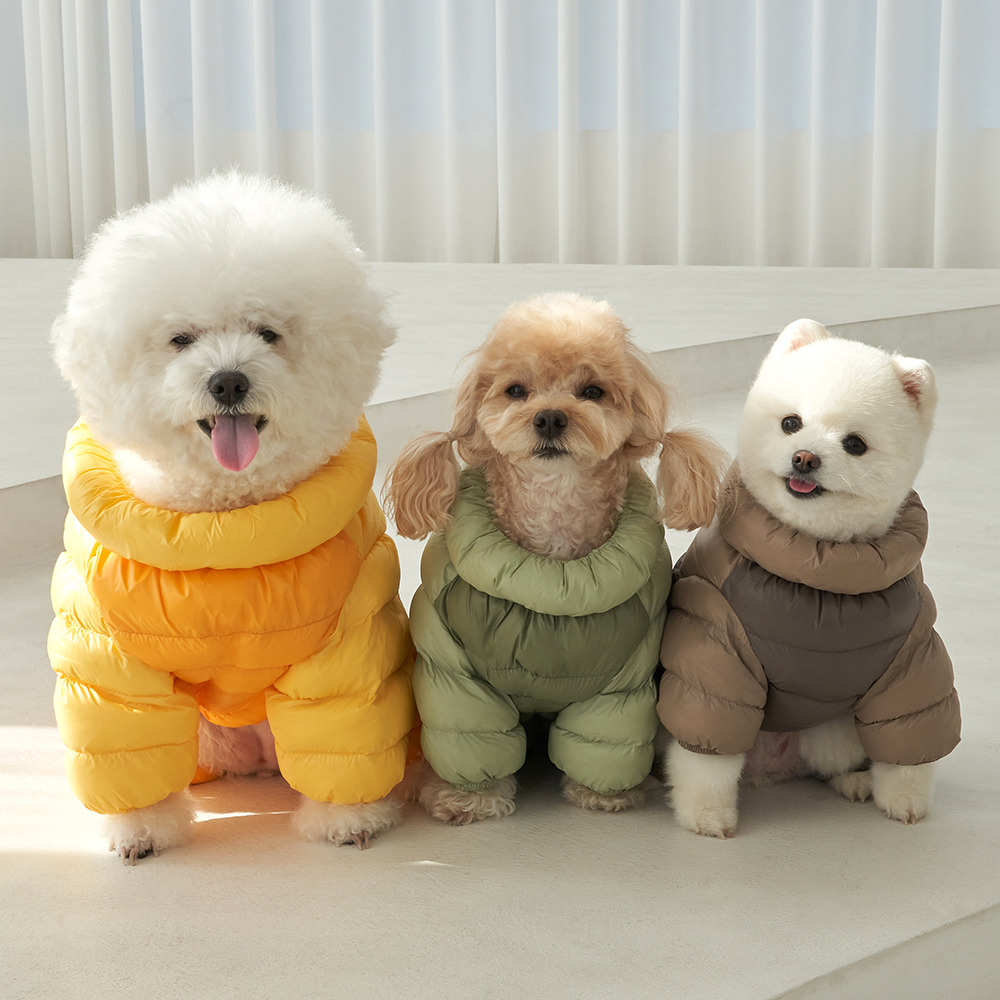 강아지 겨울옷