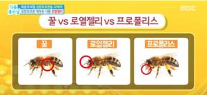 구내염에 좋은 영양제