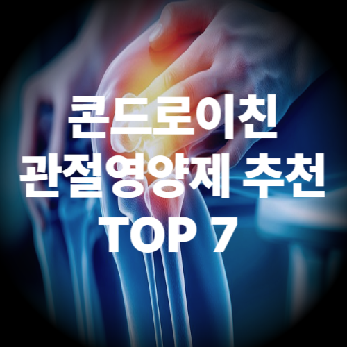 콘드로이친 관절영양제 추천 TOP7