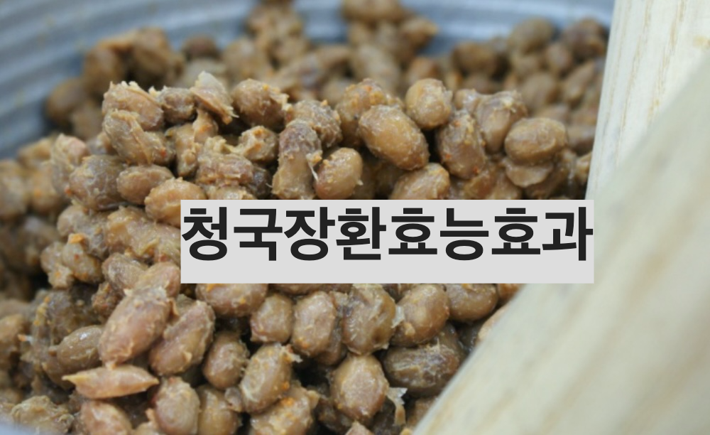 청국장환효능효과