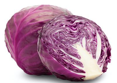 자색양배추