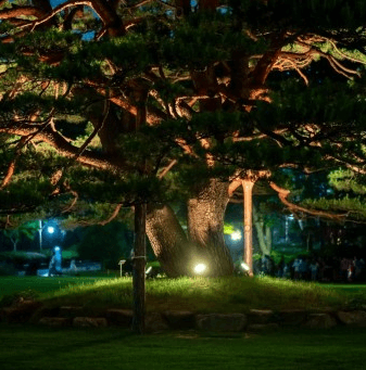 밤의산책