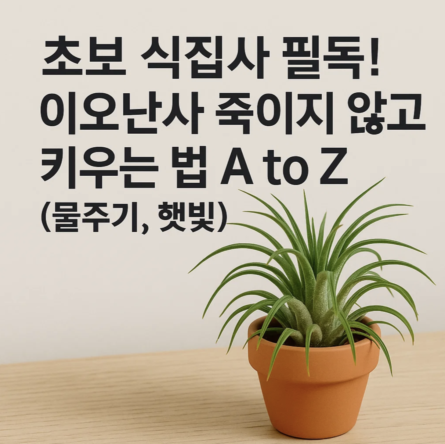 초보 식집사 필독! 이오난사 죽이지 않고 키우는 법 A to Z (물주기, 햇빛)