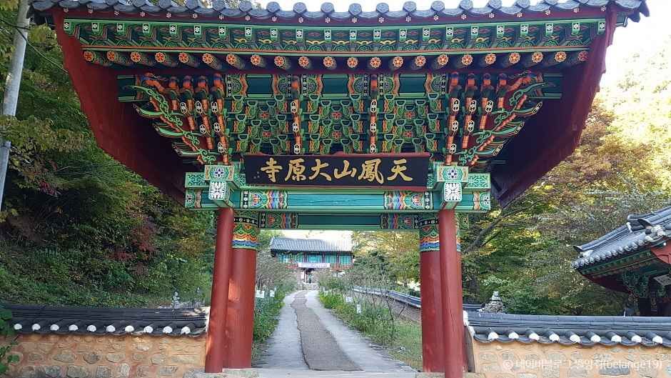 보성 가볼만한곳 베스트10