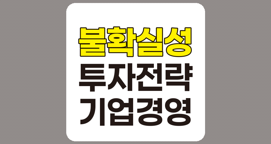 불확실성 시대의 기업 투자 전략, 성공적 위험 관리 방안