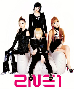 2NE1 콘서트 웰컴백 앵콜 인 서울 예매 방법 좌석 배치 확인하기