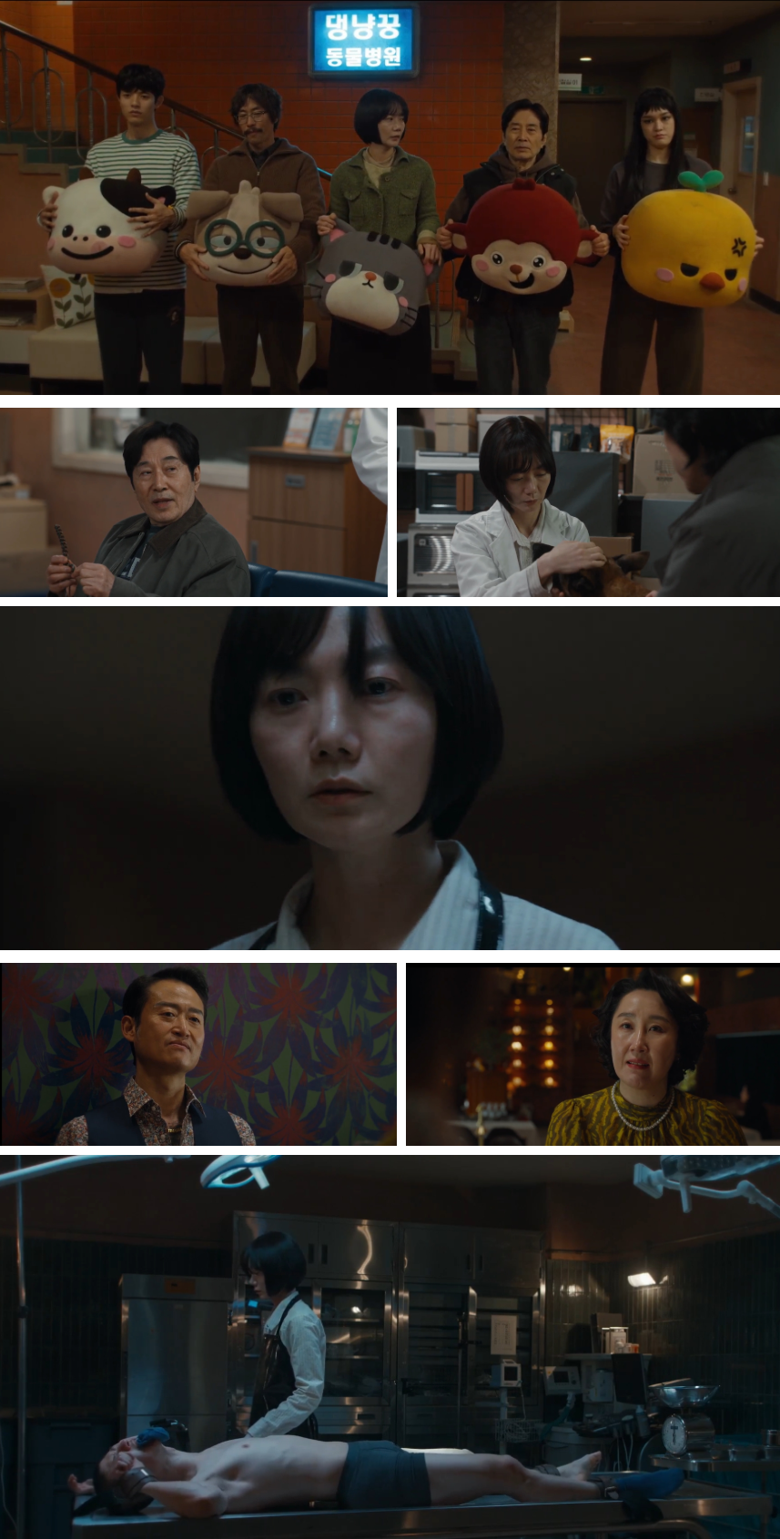 쿠팡플레이 ott 드라마 가족계획