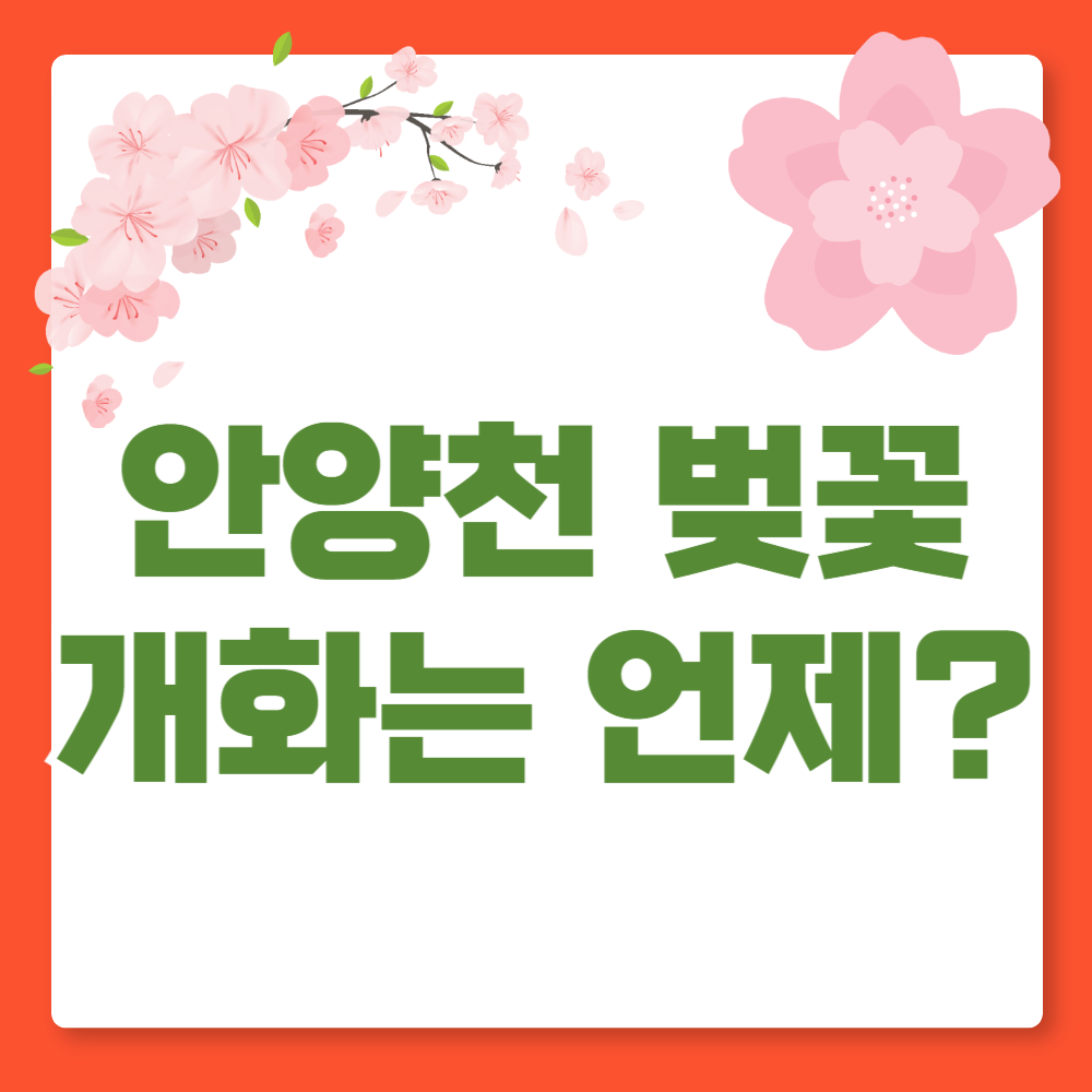 안양천 벚꽃 개화 언제쯤 ?
