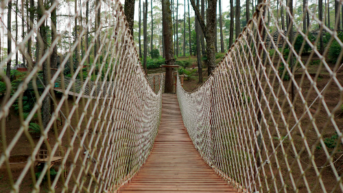 산림바우처 사용처