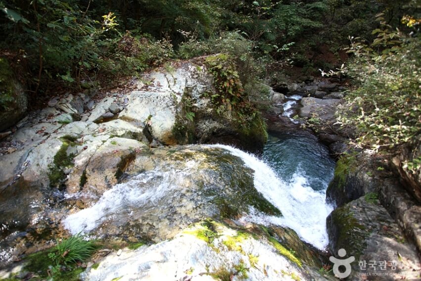 영월 가볼만한곳 베스트 10