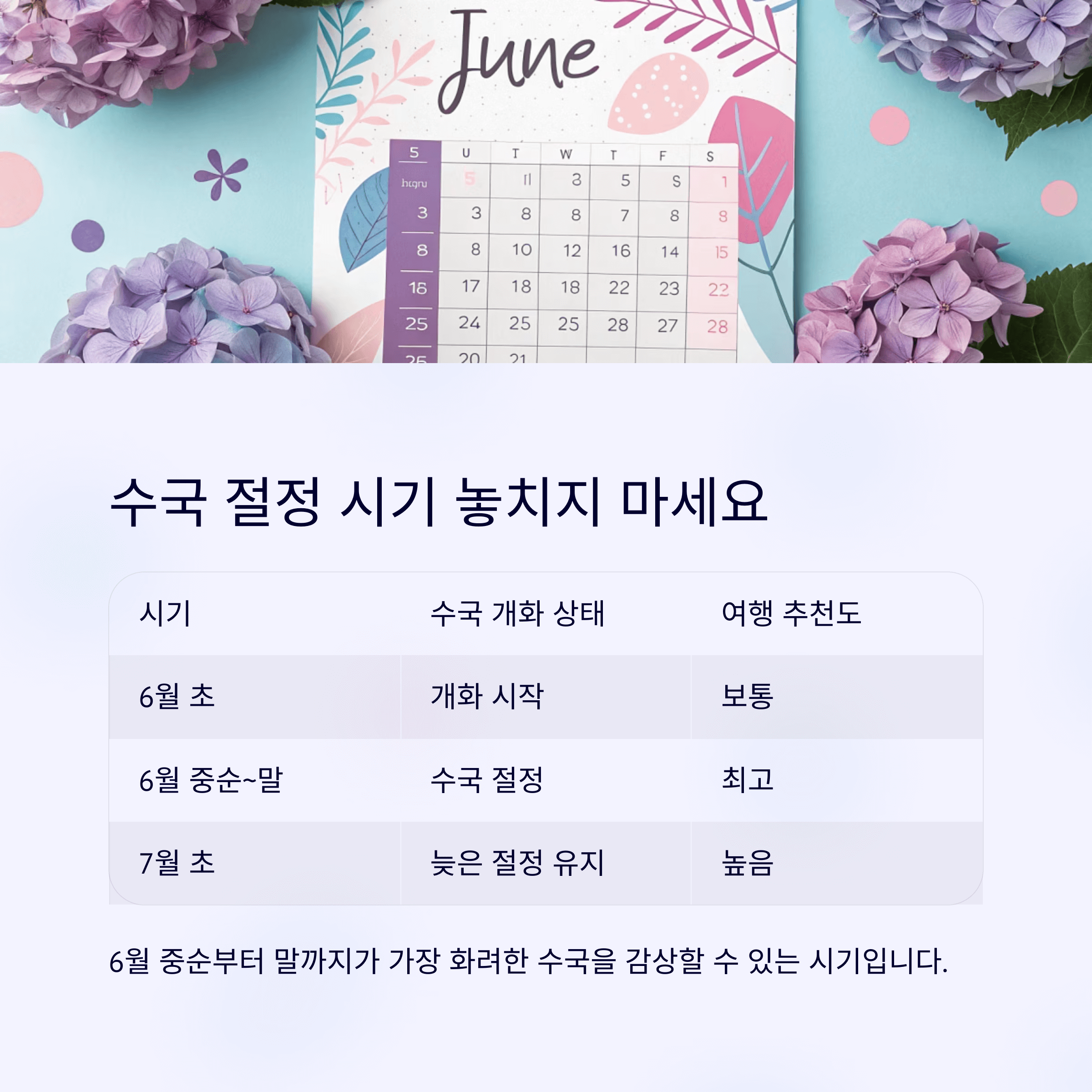 6월 수국 개화 일정과 여행 추천도를 정리한 달력 인포그래픽