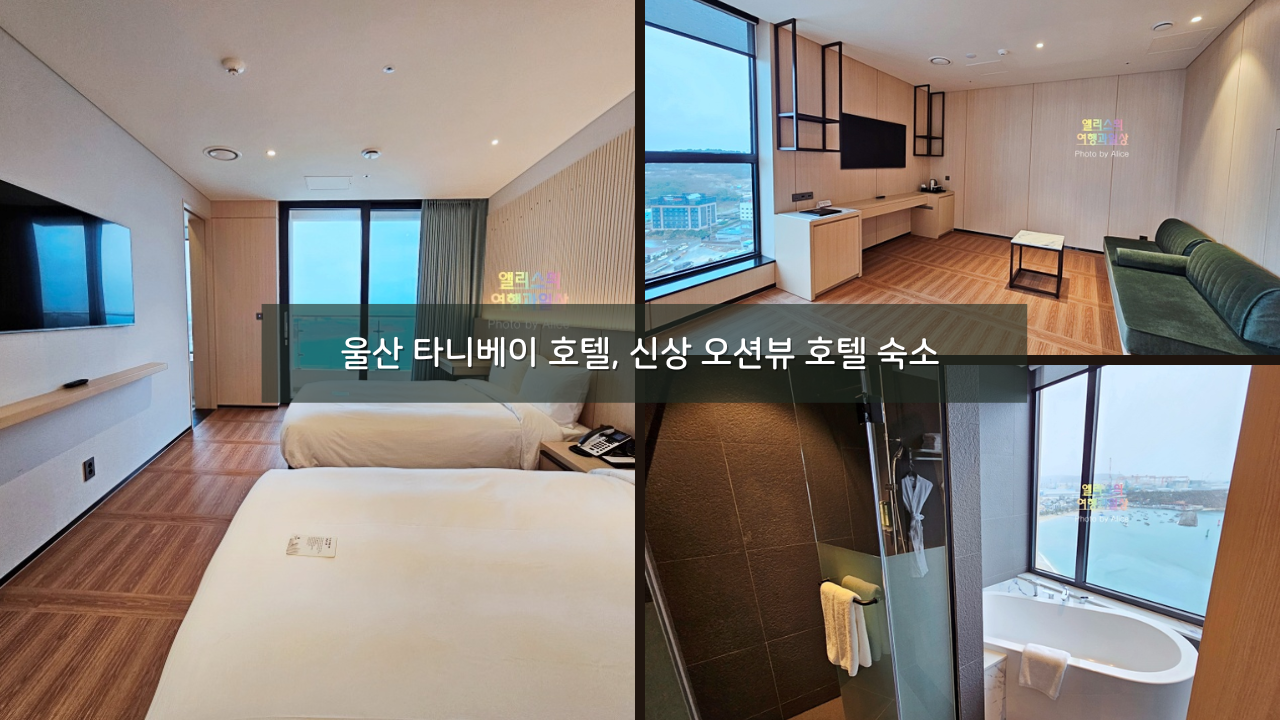 울산 타니베이 호텔, 신상 오션뷰 호텔 숙소 추천 - 코너스위트룸