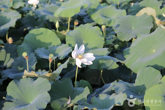 무안 가볼만한곳 베스트10