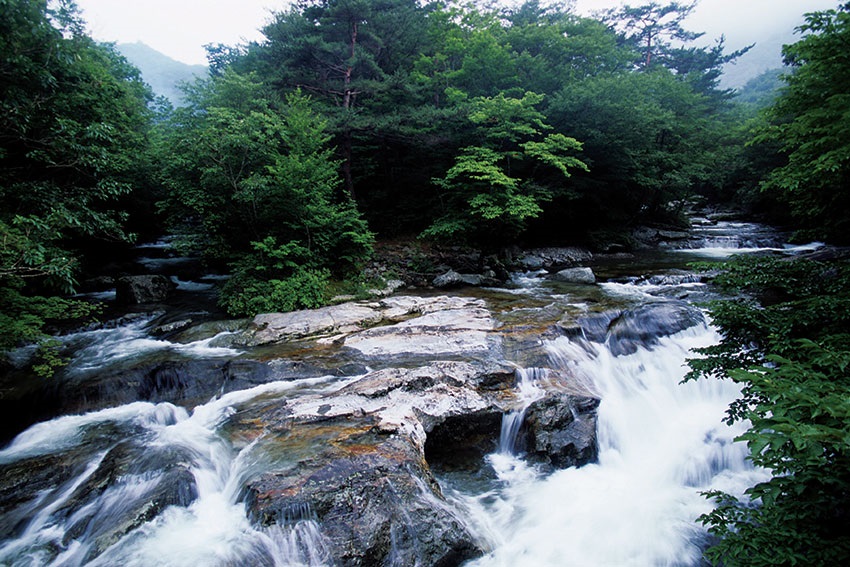 구천동계곡 관련 사진