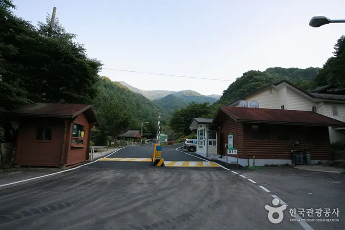 지리산 자연휴양림 전경 이미지