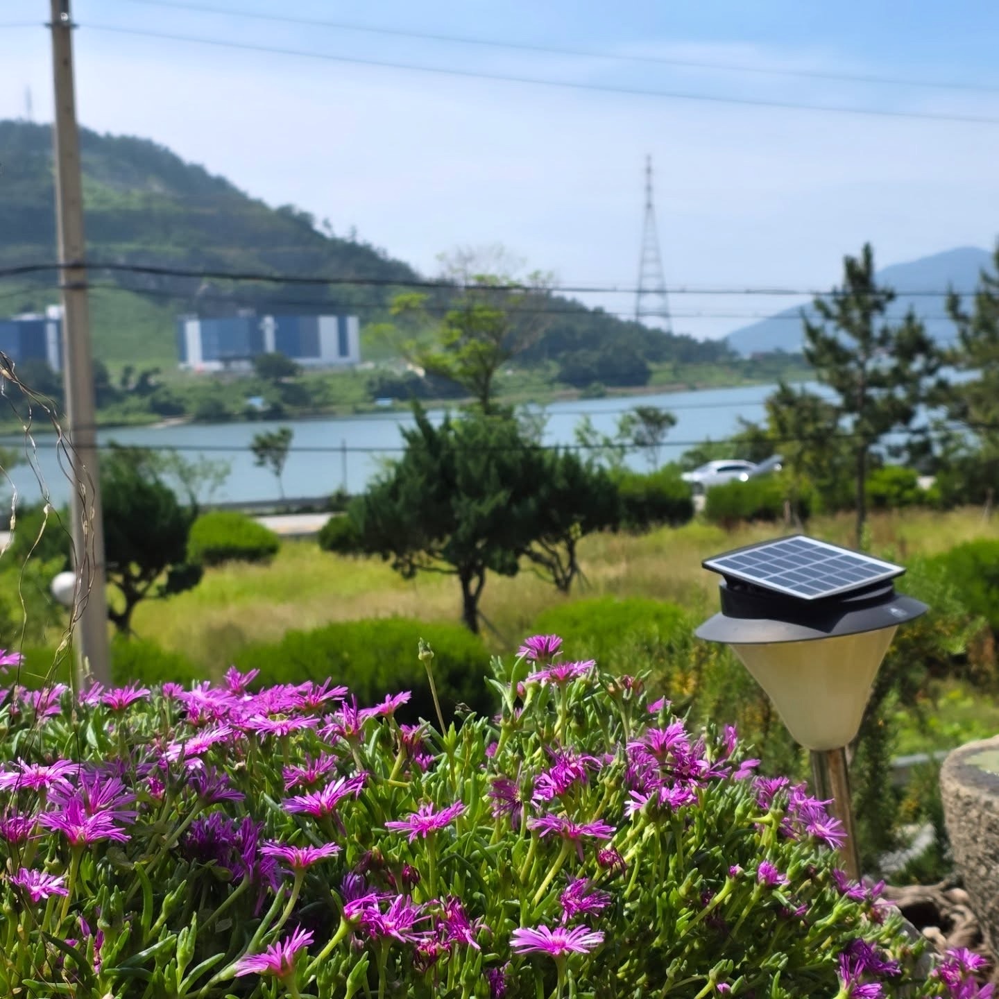 [오늘N 맛집] 5월 27일 신당동 옥경이네 건생선 &amp; 해남 자연과사람들 민박 카페 위치 관련사진