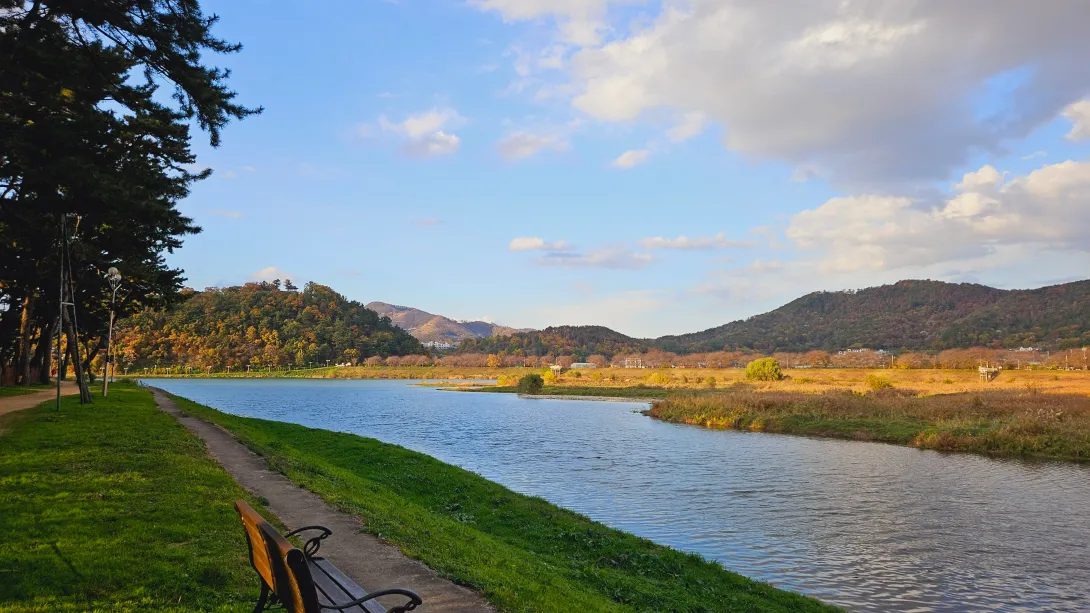 밀양 맥문동 맨발걷기