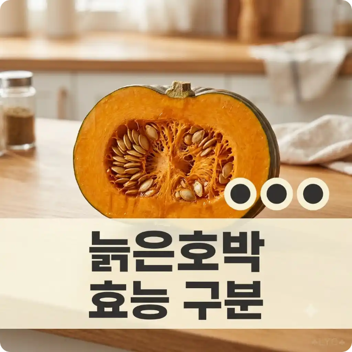 늙은호박 효능 영양성분 구분 단면