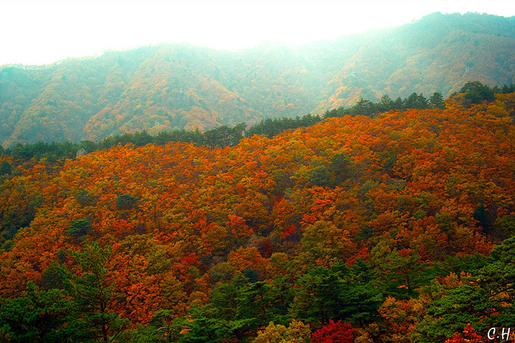 설악산 케이블카