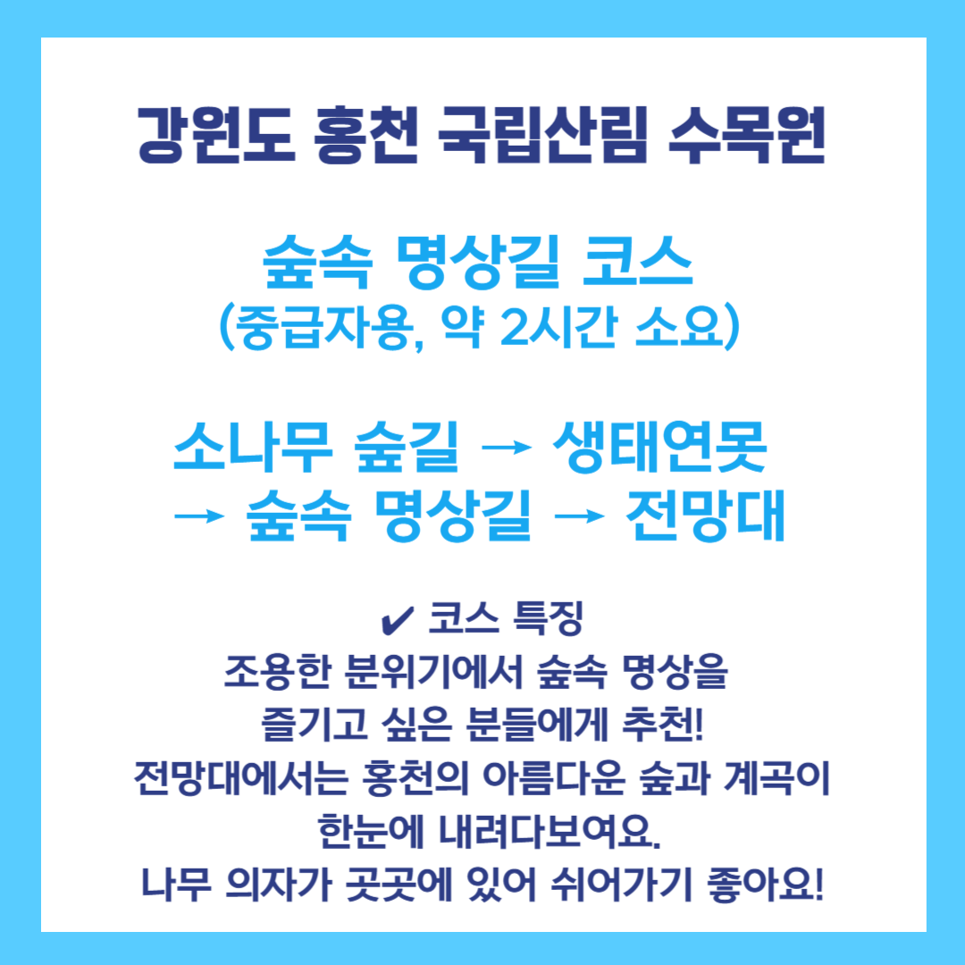 홍천 국립산림 수목원 숲속 명상길 코스