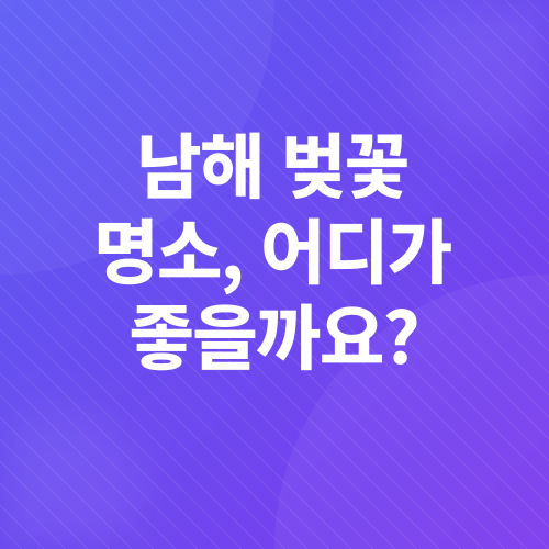 남해 벚꽃 피크닉_1