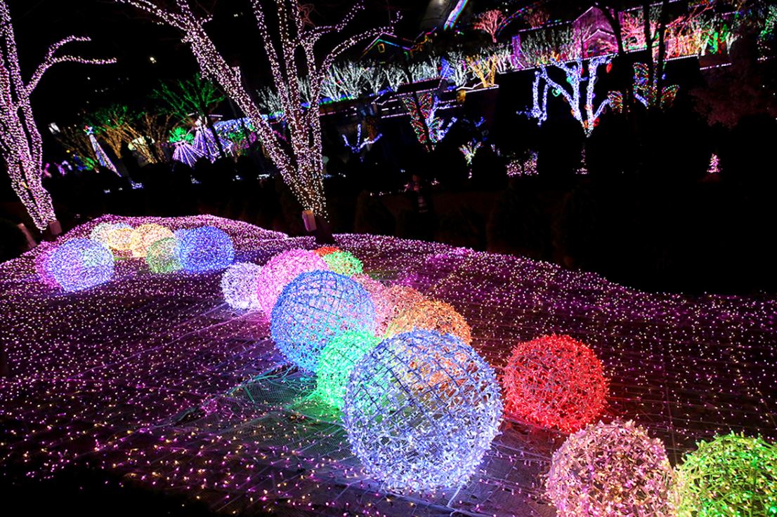 겨울여행 크리스마스여행 청도프로방스빛축제