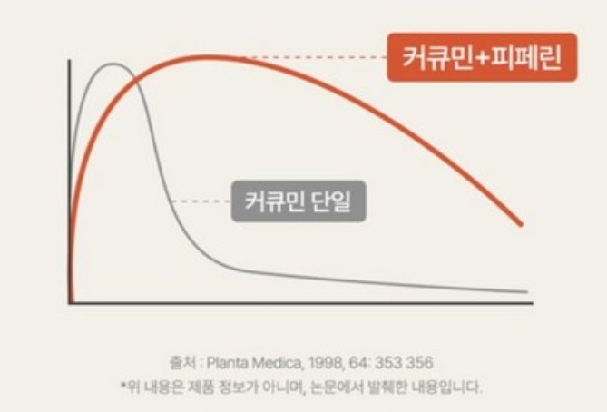 강황가루 섭취 조건
