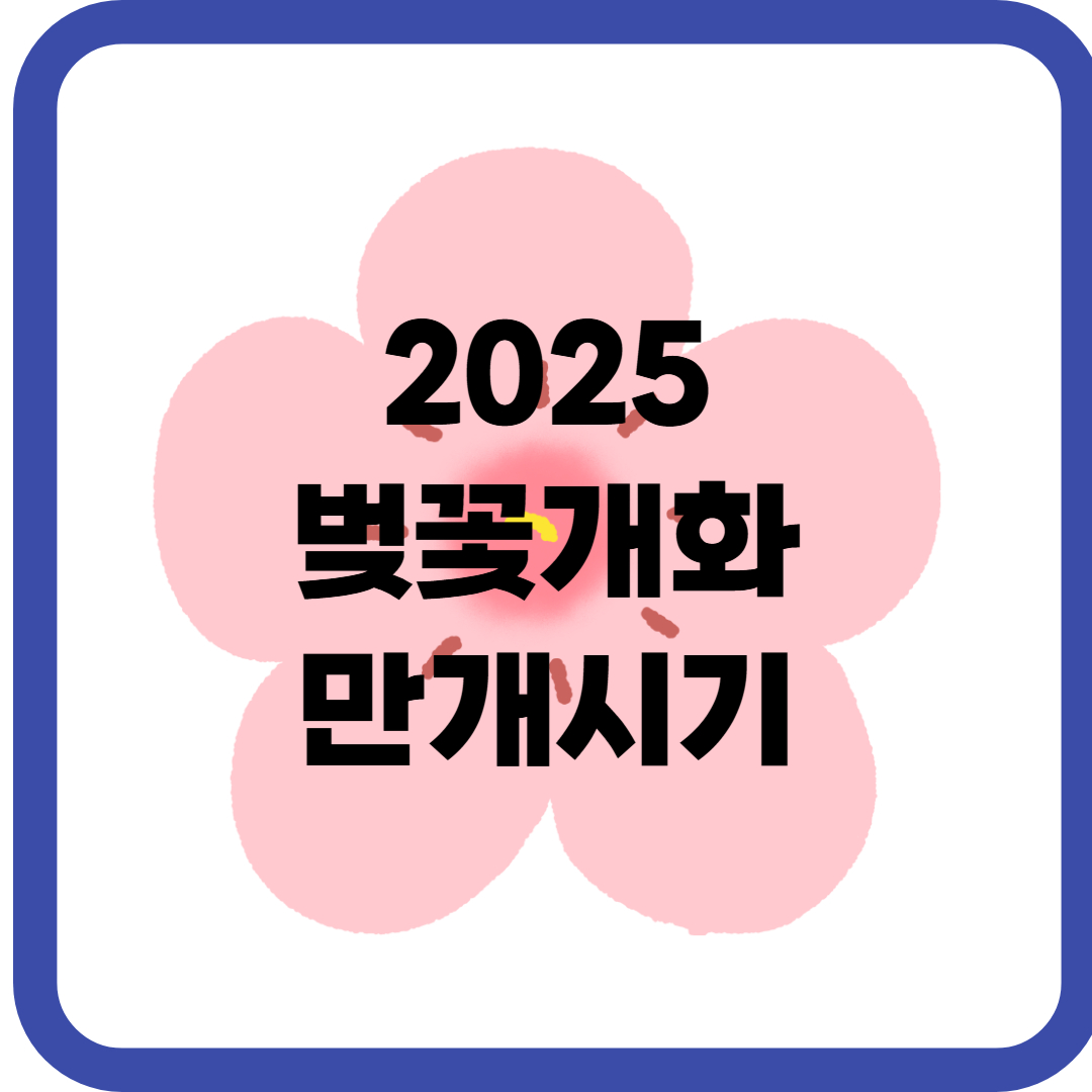 2025년 벚꽃 개화 만개 시기