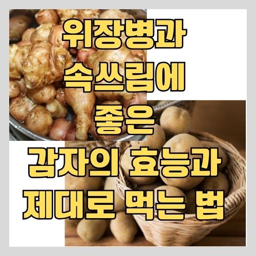 한의사가 알려주는 위염과 위궤양등 위장병에 좋은 감자의 효능과 먹는 법 썸네일