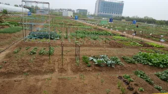 주말농장 시작법 분양 준비물 초보팁 가족과 함께 즐기기_17