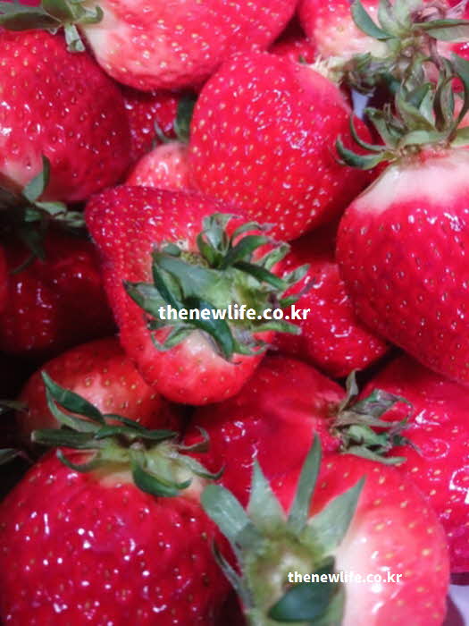 딸기 효능 피로 해소 비타민 C