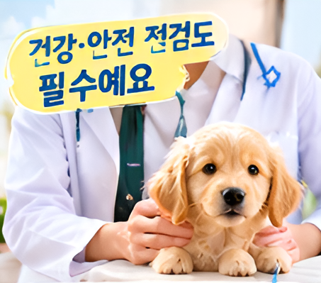 반려견 처음 키울 때 필수 준비물, 체크리스트, 첫날부터 덜 당황하는 준비법