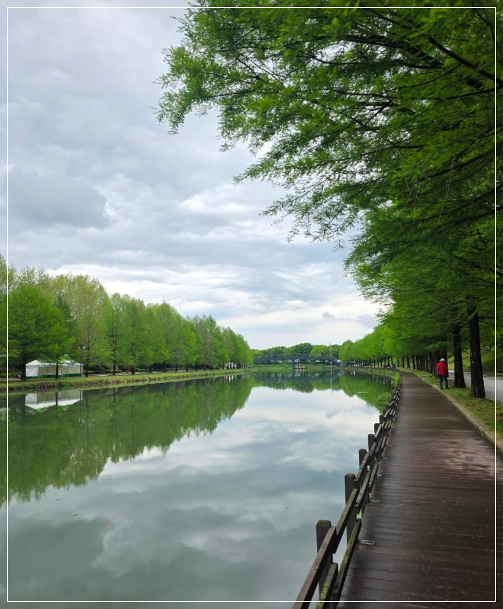 담양 가볼만한곳 베스트10 관방제림