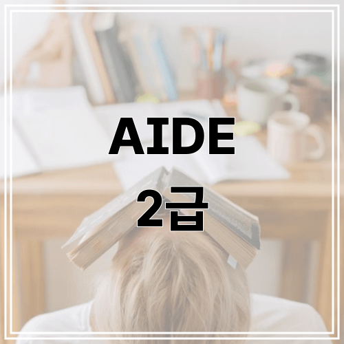 AIDE 2급