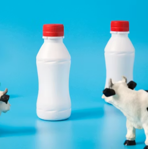 허리 디스크에 좋은 음식 영양제 식단