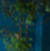 손목터널증후군 원인