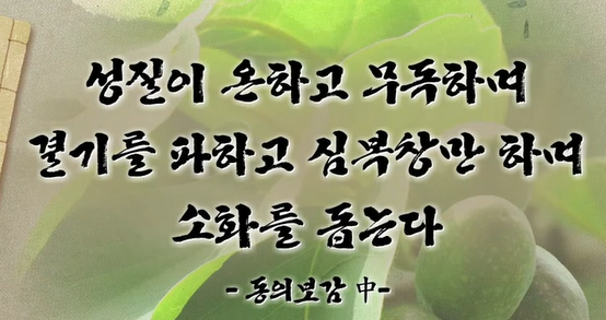 가자추출물