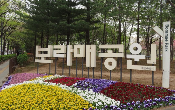 보라매공원-겹벚꽃