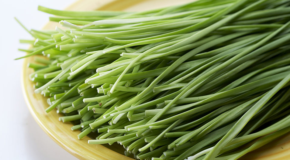 부추 키우기, 재배 방법, 심는 시기, 효능 알아보기