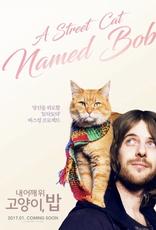 영화 내 어깨 위 고양이 밥 리뷰