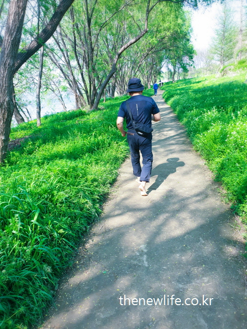 A man walking barefoot through the forest path at Amsa Ecological Park-암사생태공원의 숲길을 맨발 걷기 효능을 몸으로 느끼는 남성의 모습