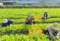 농민수당 신청자격 확인 및 지급 신청