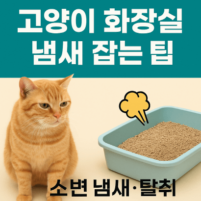 고양이 냄새 제거 가이드 : 화장실 냄새 완전 없애는 법