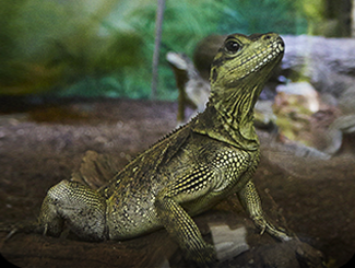 국립생태원 예약