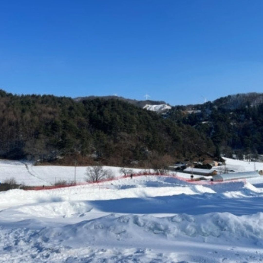 겨울에/꼭/가봐야/하는/여행지/강원도/평창