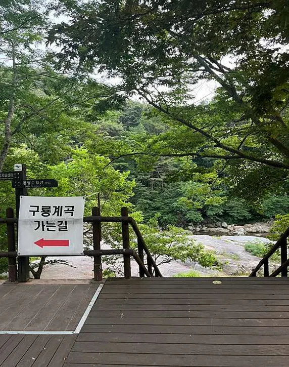 육모정