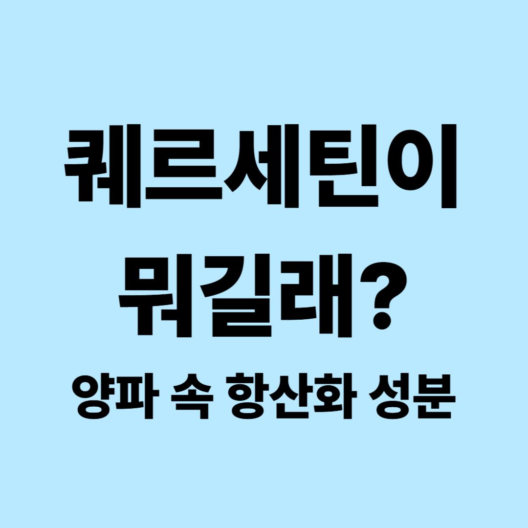 퀘르세틴이란? 양파 속 항산화 성분 효능과 음식&middot;섭취법 총정리