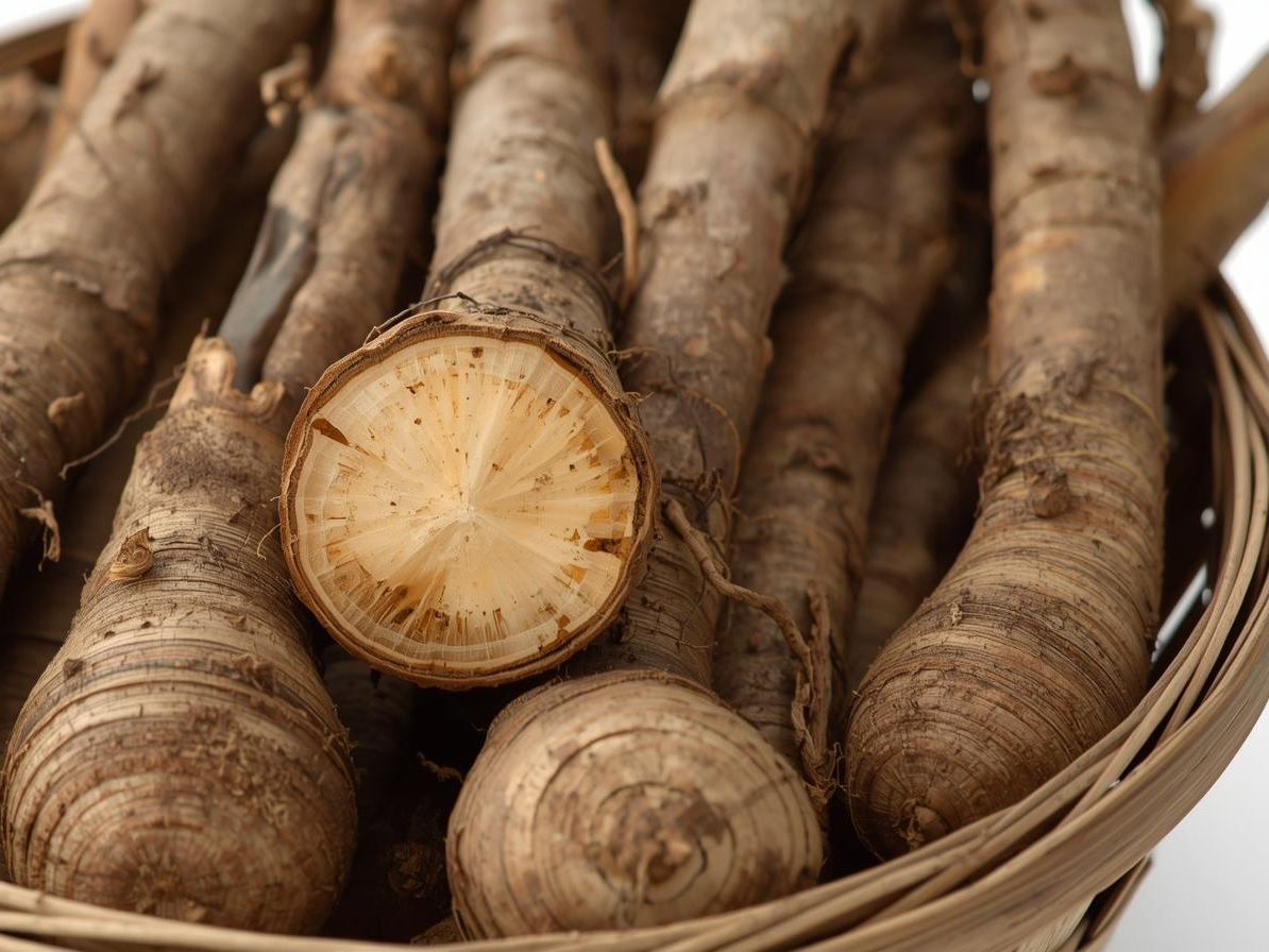 우엉차 간 건강효능